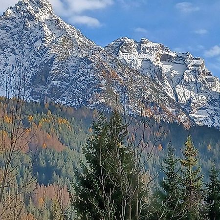 Locanda Da Pierina Santo Stefano Di Cadore Dış mekan fotoğraf