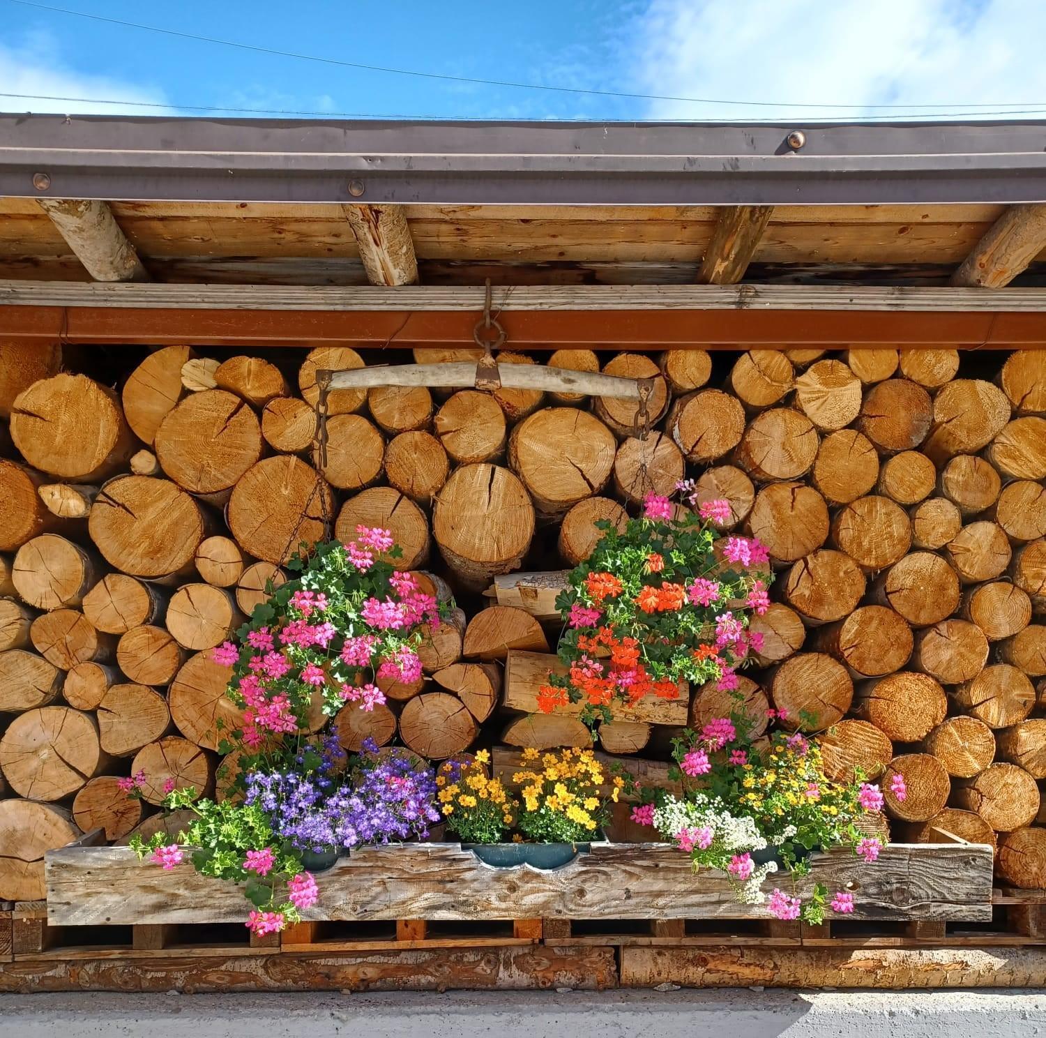 Locanda Da Pierina Santo Stefano Di Cadore Dış mekan fotoğraf