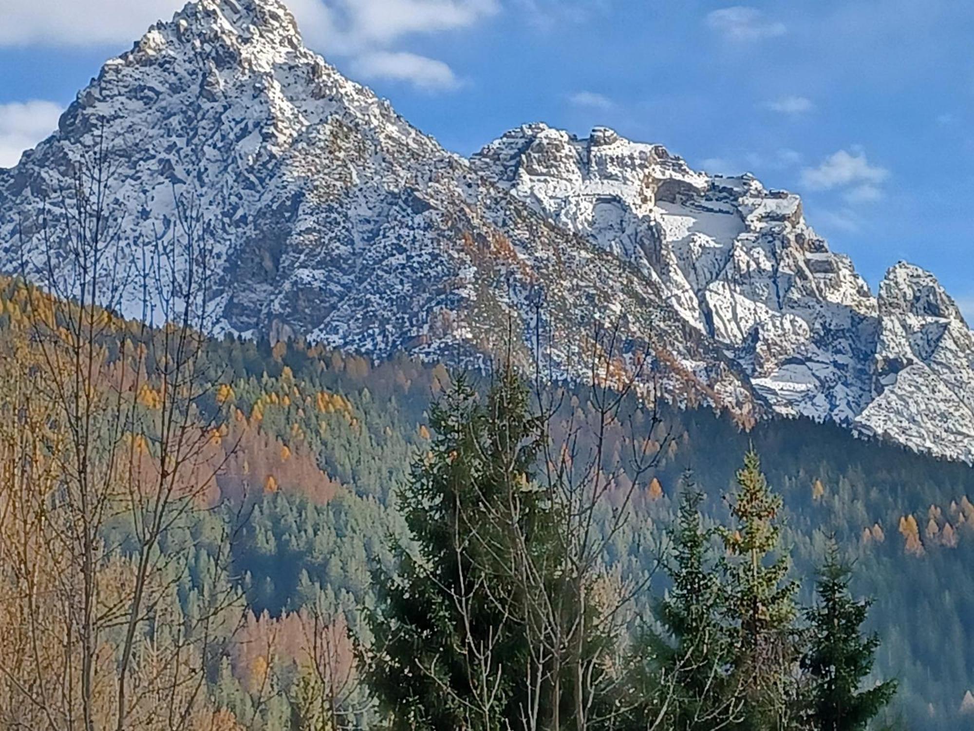 Locanda Da Pierina Santo Stefano Di Cadore Dış mekan fotoğraf